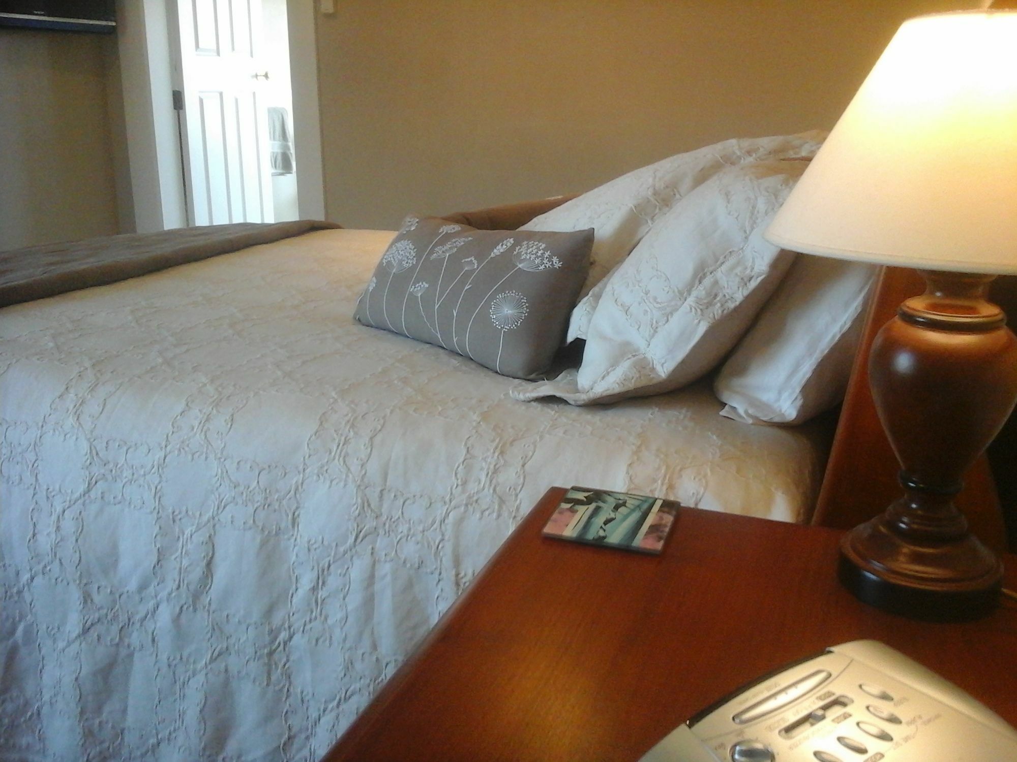 Kershaw House Bed & Breakfast Richmond Ngoại thất bức ảnh