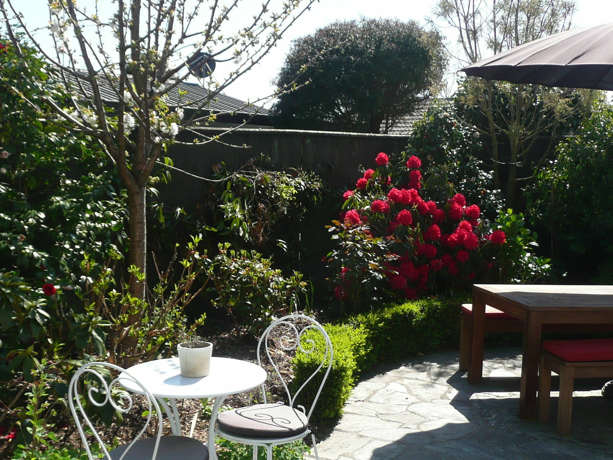 Kershaw House Bed & Breakfast Richmond Ngoại thất bức ảnh