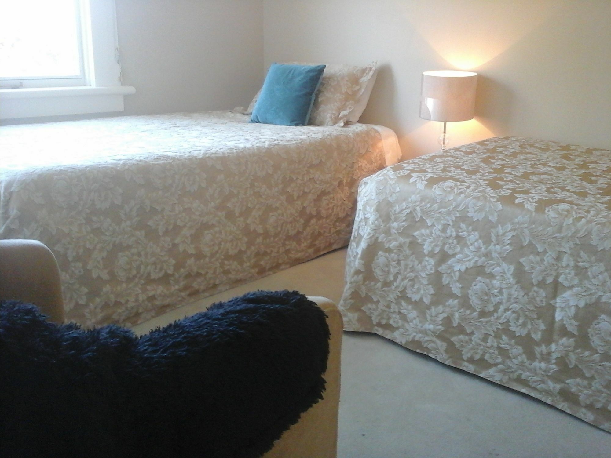 Kershaw House Bed & Breakfast Richmond Ngoại thất bức ảnh
